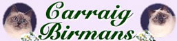 Carraig Birmans