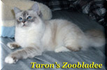 Taron's Zoobladee