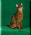 GRP Purrfest All That Jazz of Taron 