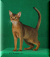 GRP Purrfest All That Jazz of Taron 