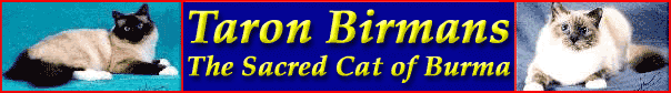 taron-1.gif (23197 bytes)